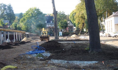 jedlina park zdrojowy 3